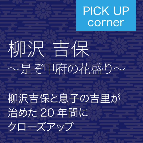 柳沢吉保~是ぞ甲府の花盛り~ イメージ