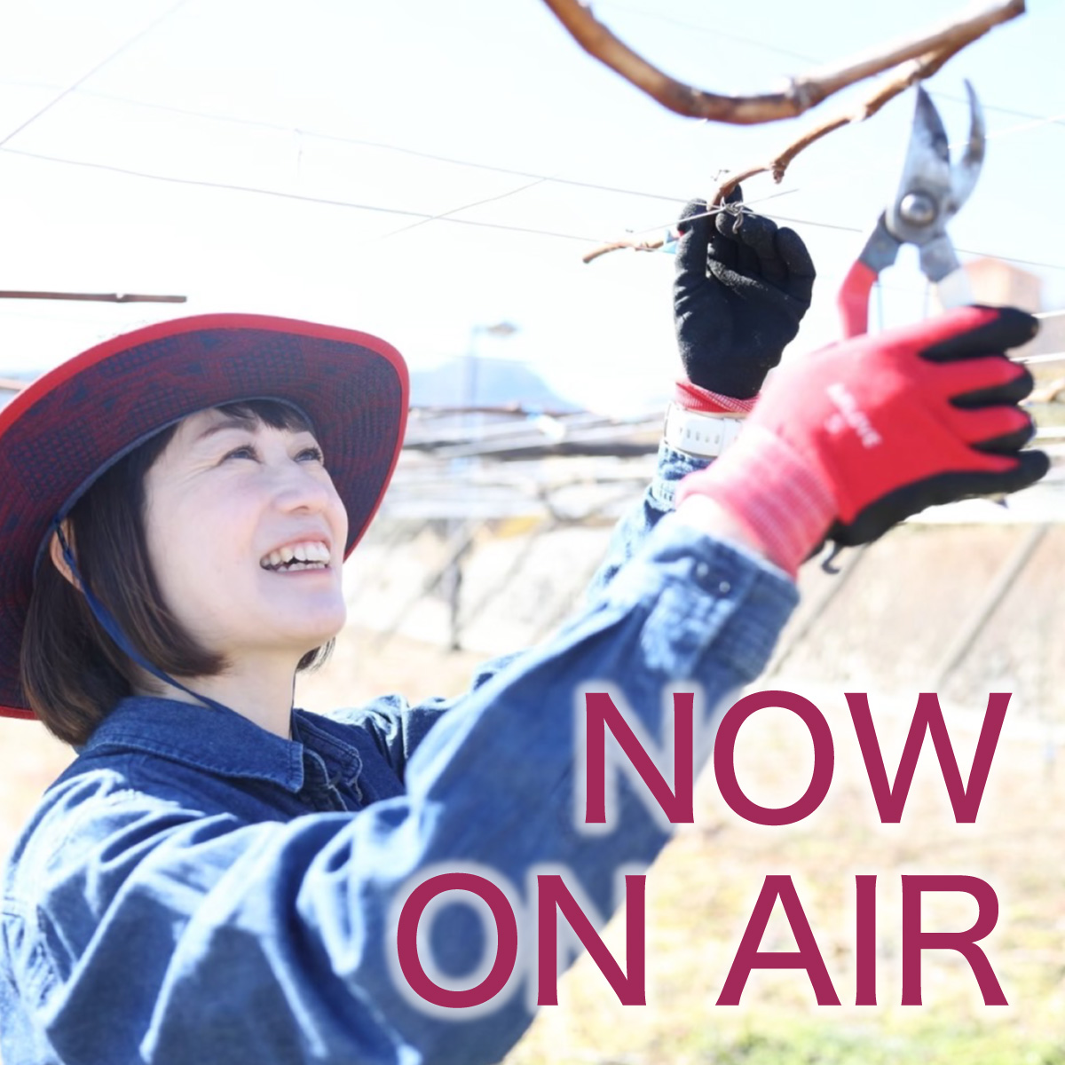 NOW ON AIR