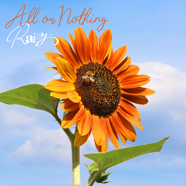 Rainy。「All or Nothing」