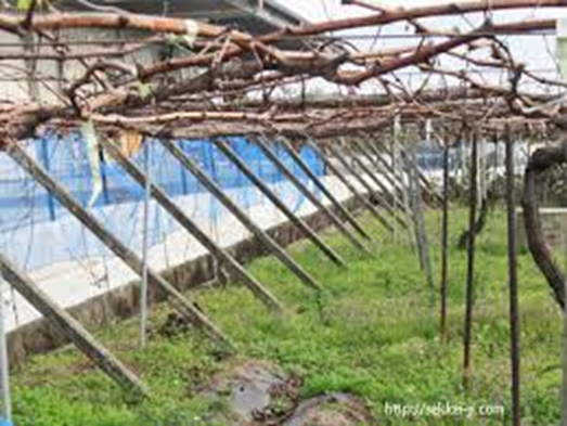 農業遺産を学ぼう