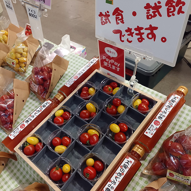 南アルプス丸吉菜園