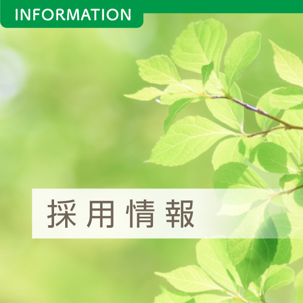 採用情報